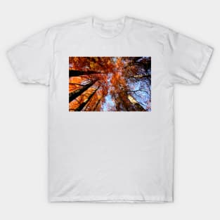 In the heart of the forest T-Shirt